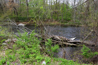 Water Rescue Millville, MA Blackstone River at Central Street April 30, 2017