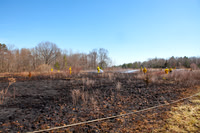 Extensive Brush Uxbridge, MA 44 Glendale St March 14, 2012